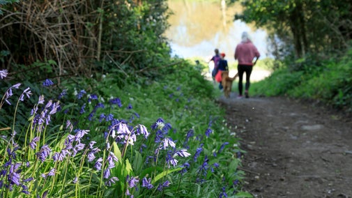 Family walking with their dog near Temple Water